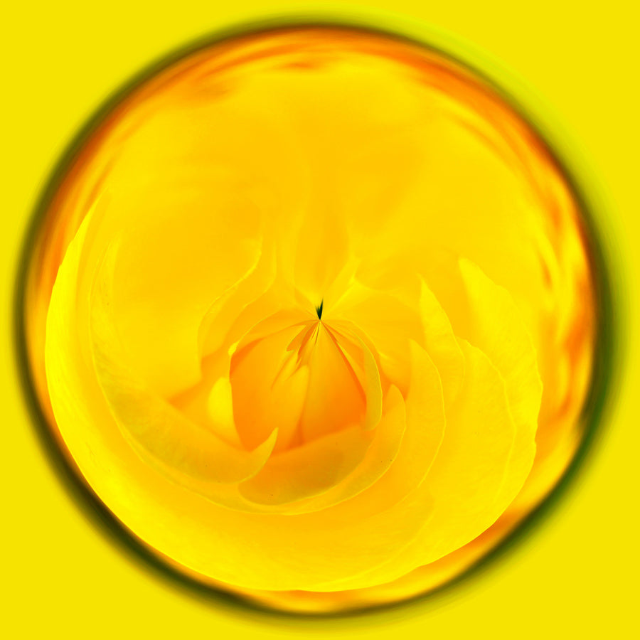 Swirls 11