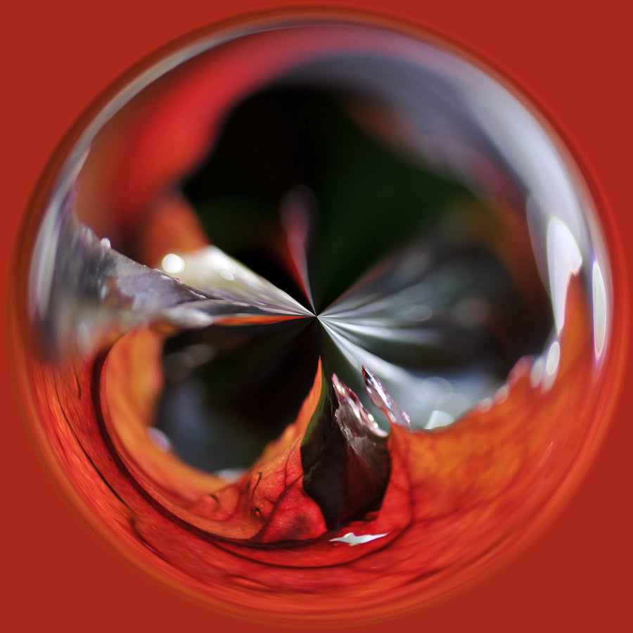 Swirls 17