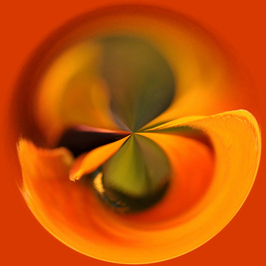 Swirls 40