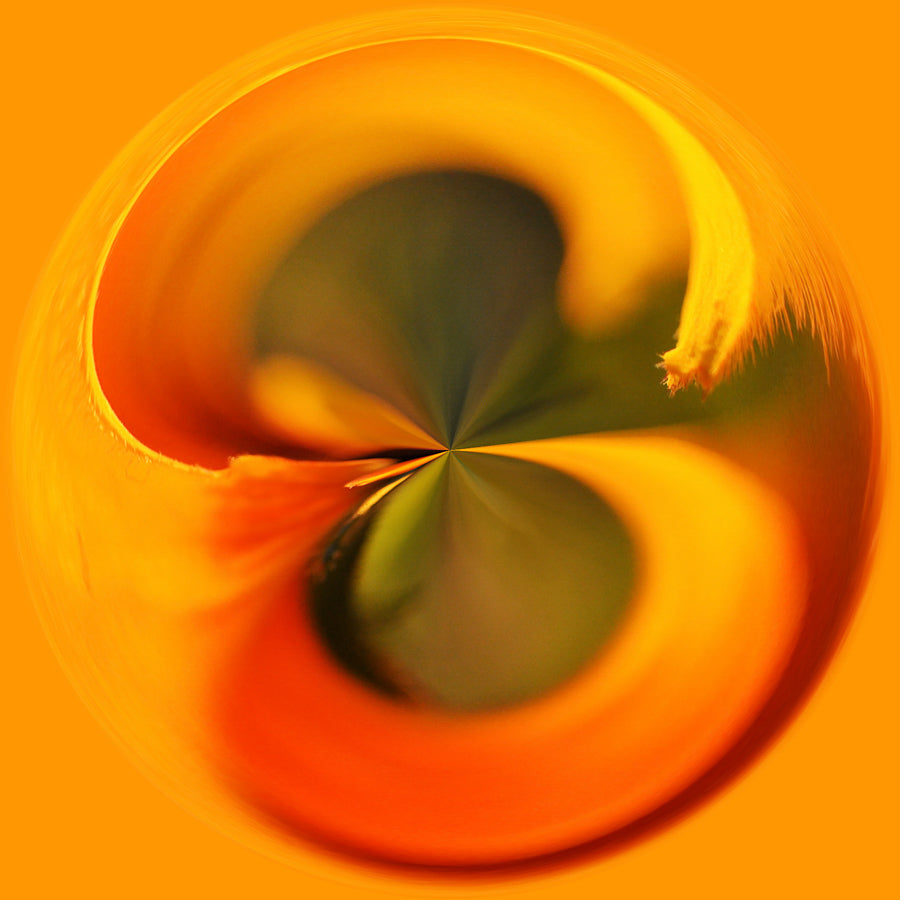 Swirls 42