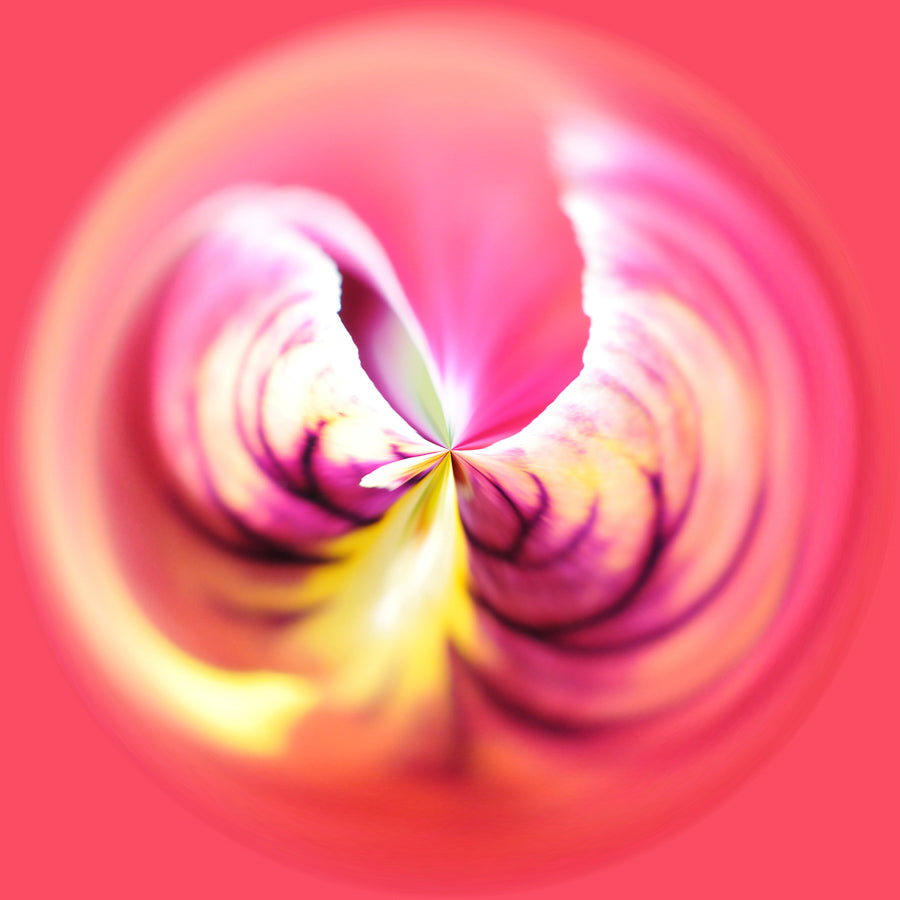 Swirls 44