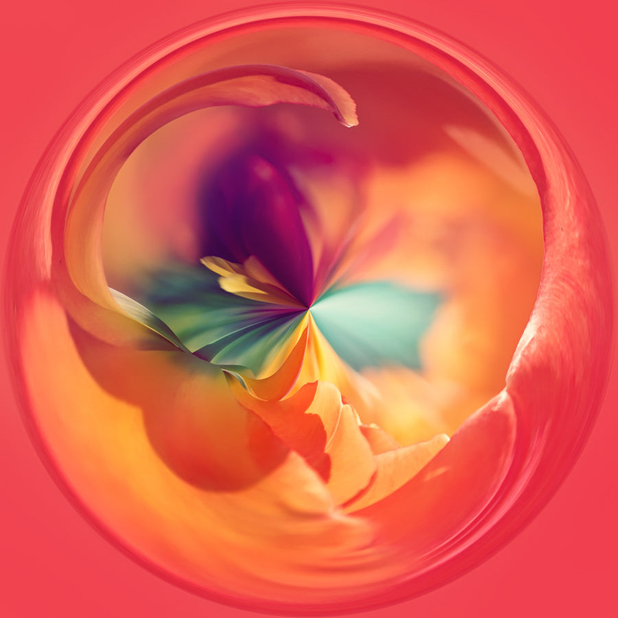 Swirls 73