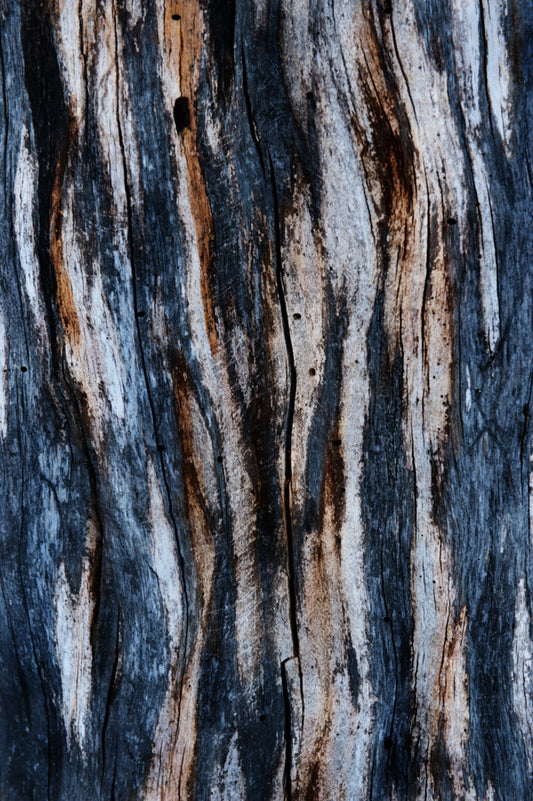 Wood 17